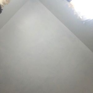 Meet your Posher, Anabell